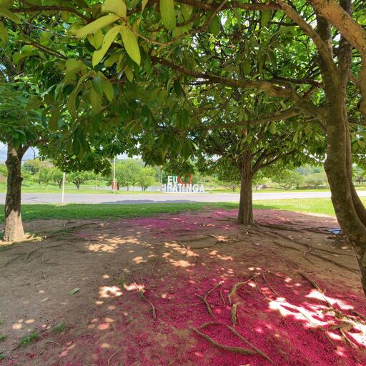 Árvores e sombra no Parque Ipanema